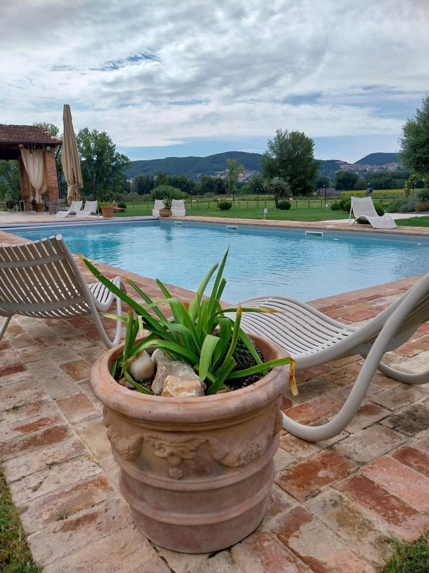 Agriturismo Tenuta Filippi Нарни Экстерьер фото